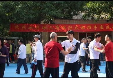 2019年珠三角城际太极推手交流活动